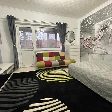 Central Colors Studio Petroşani מראה חיצוני תמונה