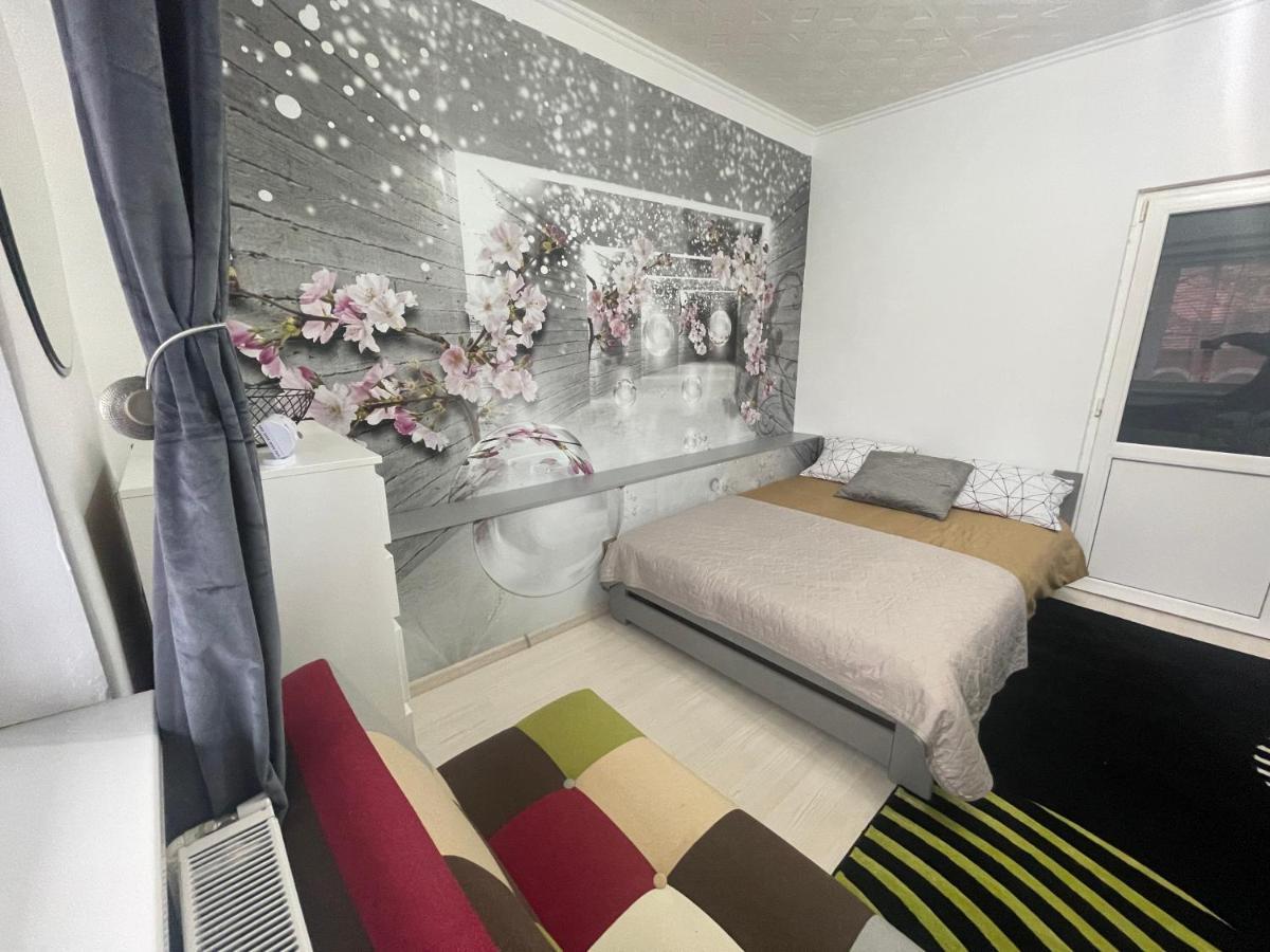 Central Colors Studio Petroşani מראה חיצוני תמונה